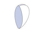 Fire polished biconvex lenses